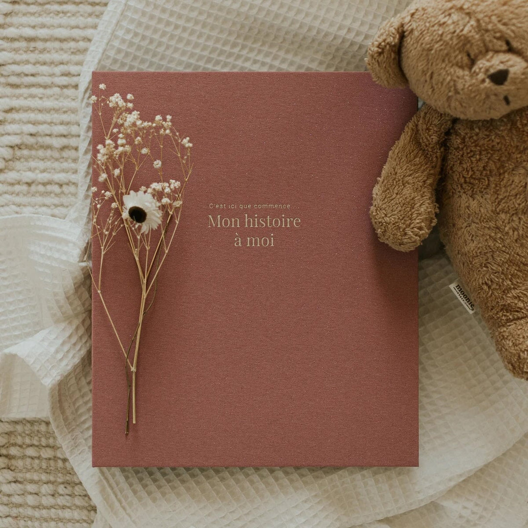livre grossesse bebe rose scintillant Le petit tableau noir.
