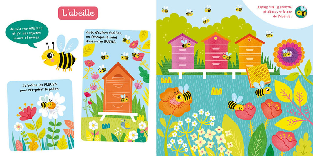 Livre sonore Je découvre les petites bêtes Auzou Mlle et Coco