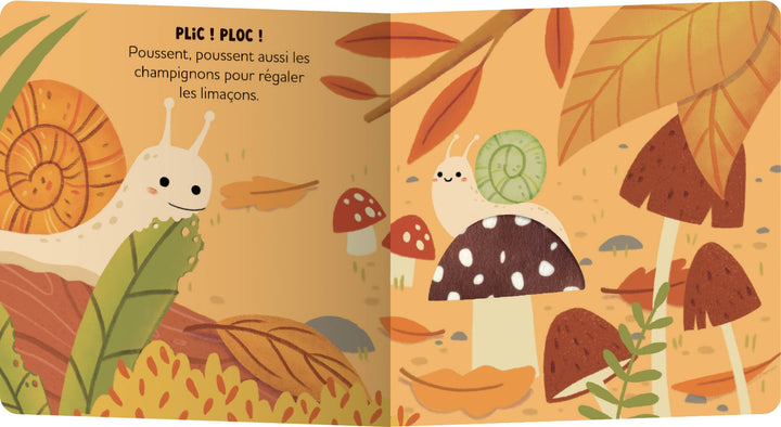 livre au coeur de la forêt Auzou Mlle et Coco 