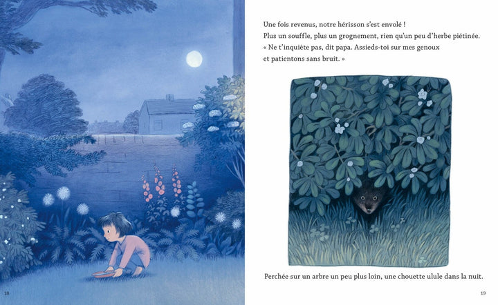 Livre Auzou La nuit du Hérisson Mlle et Coco