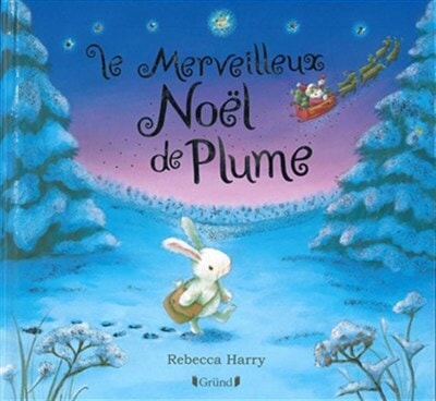 Livre Le Merveilleux Noêl de Plume Auzou Mlle et Coco