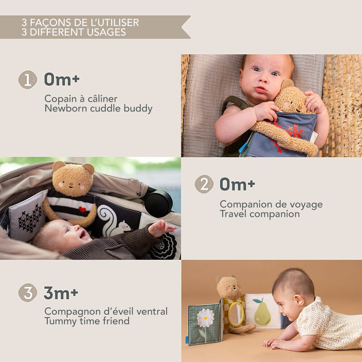 livre taf toys ourson câlin snuggle bear Mlle et Coco
