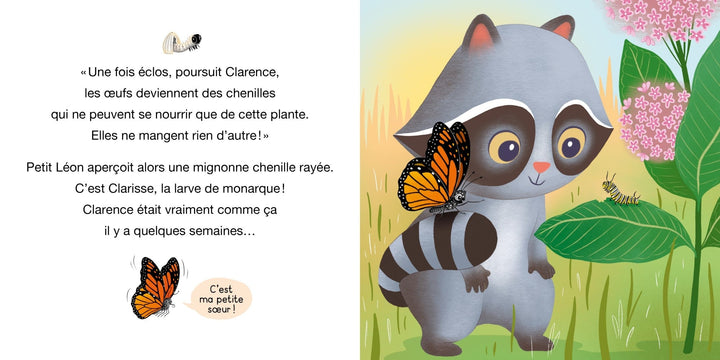 Livre Petit Léon et le papillon monarque Auzou Mlle et Coco