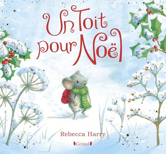 Livre Un toit pour noel, plume Auzou Mlle et Coco