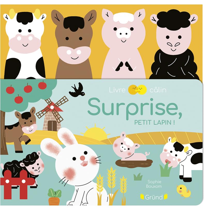 Livre et marionnettes Surprise, petit lapin! Gründ Québec Mlle et Coco