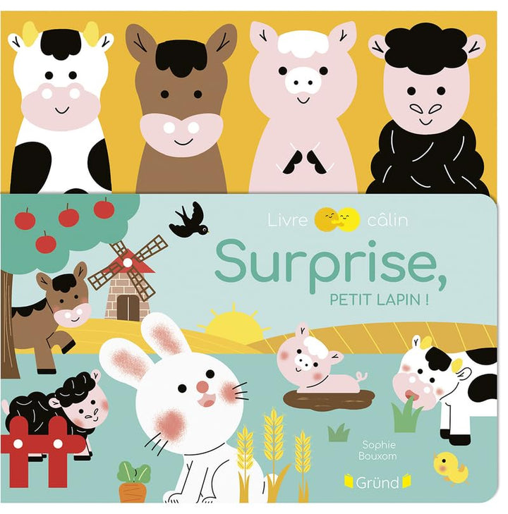 Livre et marionnettes Surprise, petit lapin! Gründ Québec Mlle et Coco