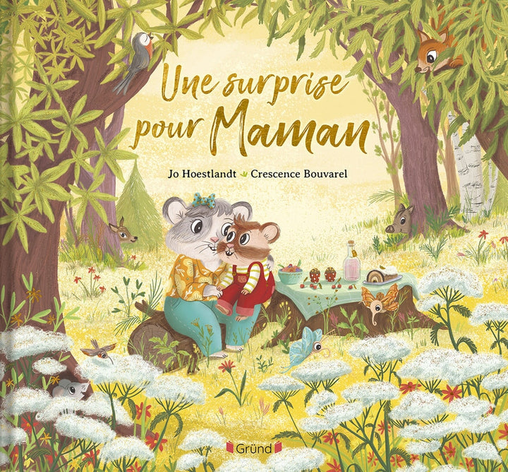 Livre Une surprise pour maman Gründ Québec Mlle et Coco