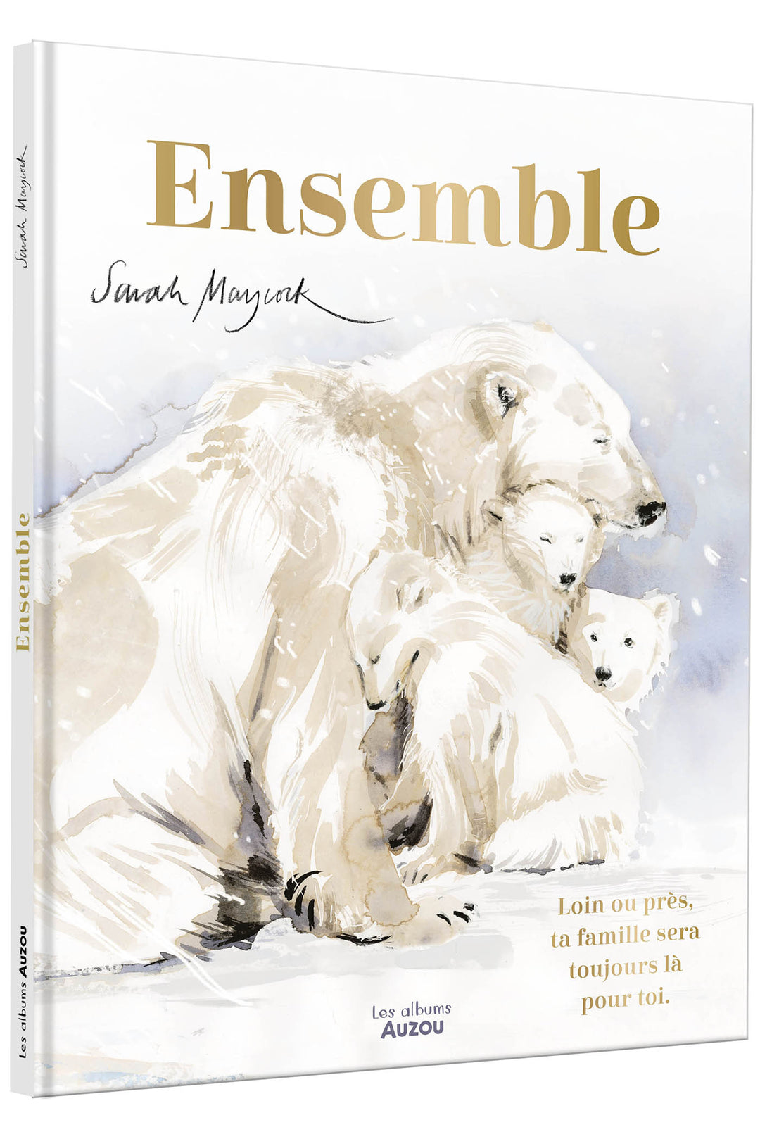 Livre Toujours Ensemble Famille Animaux Auzou Mlle et Coco