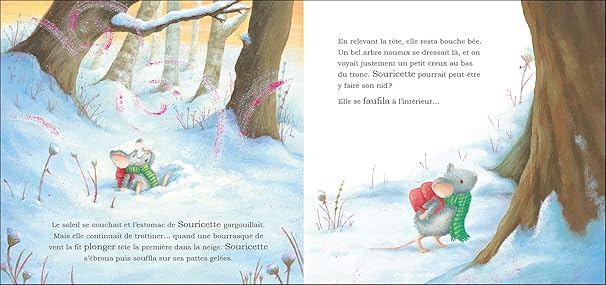 Livre Un toit pour noel, plume Auzou Mlle et Coco