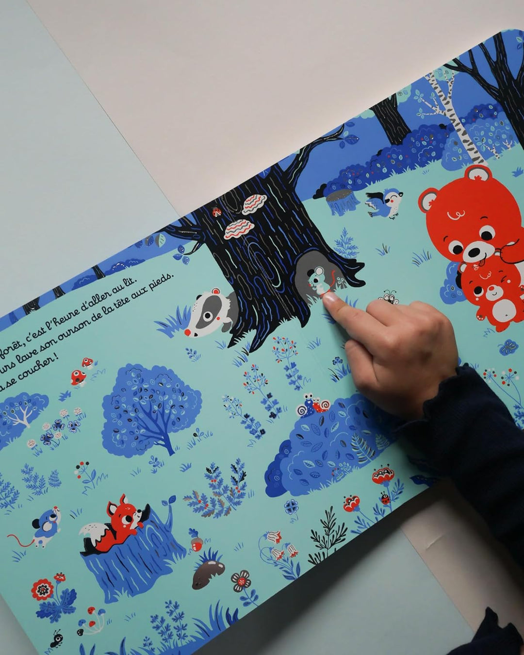 Livre Bonsoir les bébés animaux Nathan Mlle et Coco