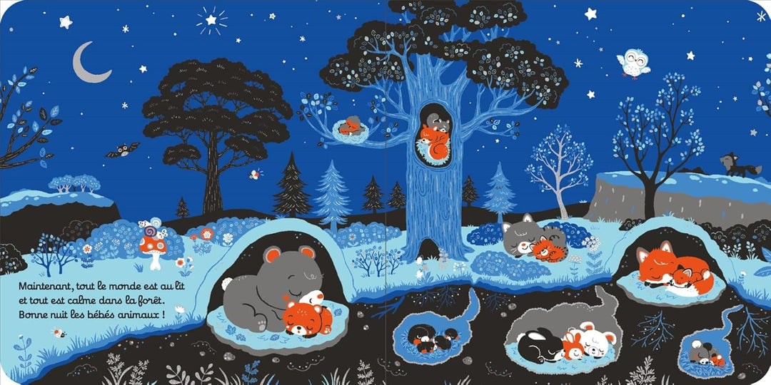 Livre Bonsoir les bébés animaux Nathan Mlle et Coco