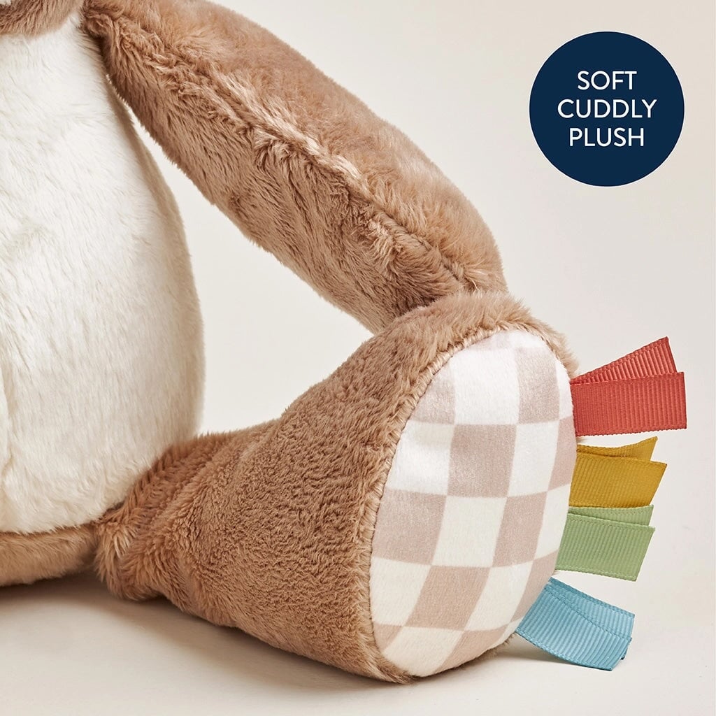 ourson sensoriel itzy ritzy peluche Mlle et Coco
