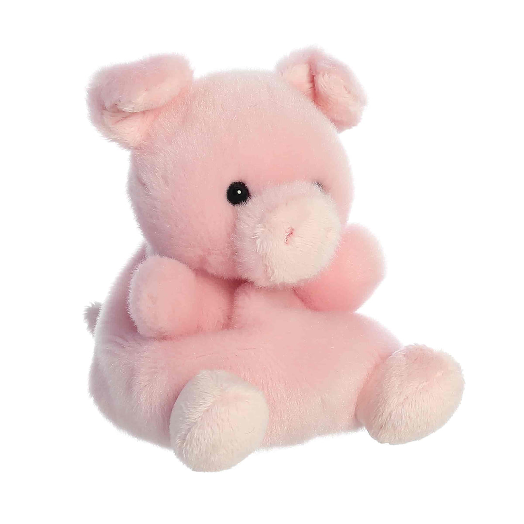 Peluche Wizard le cochon Palm pals Mlle et Coco