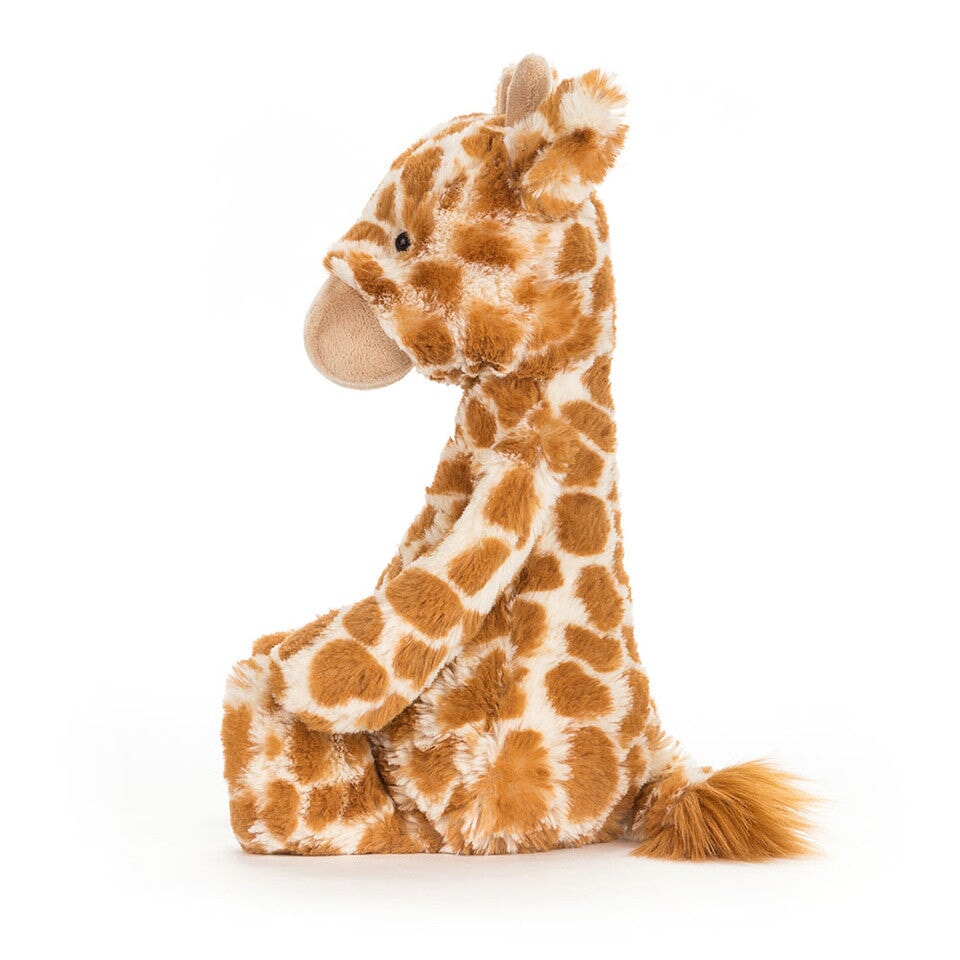 Peluche girafe timide 12 pouces Jellycat Mlle et Coco