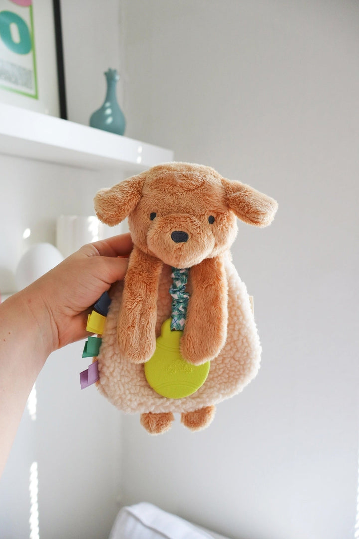 peluche itzy ritzy dentition chien puppy Mlle et Coco