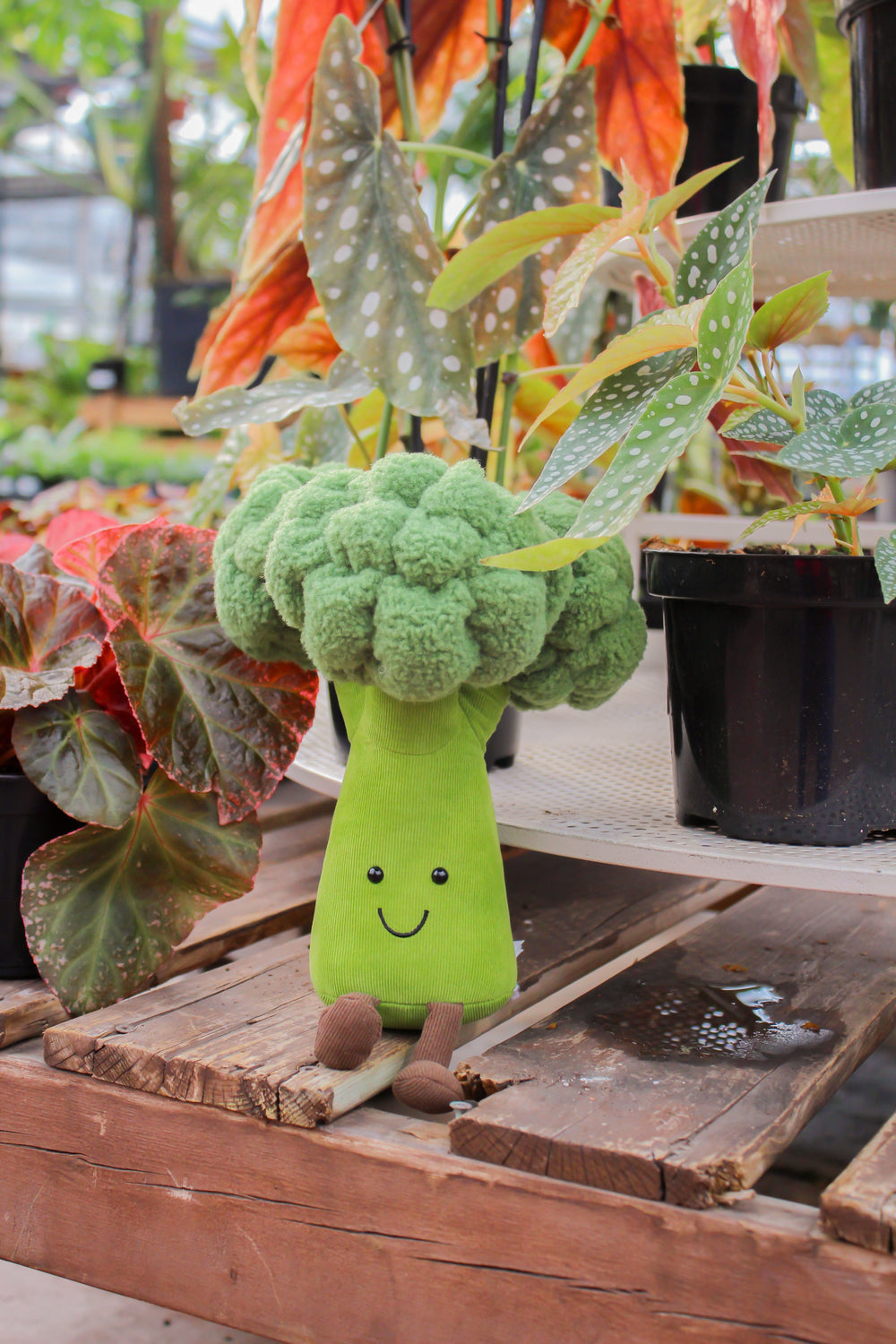 Peluche broccoli nourriture amuseable Jellycat Mlle et Coco