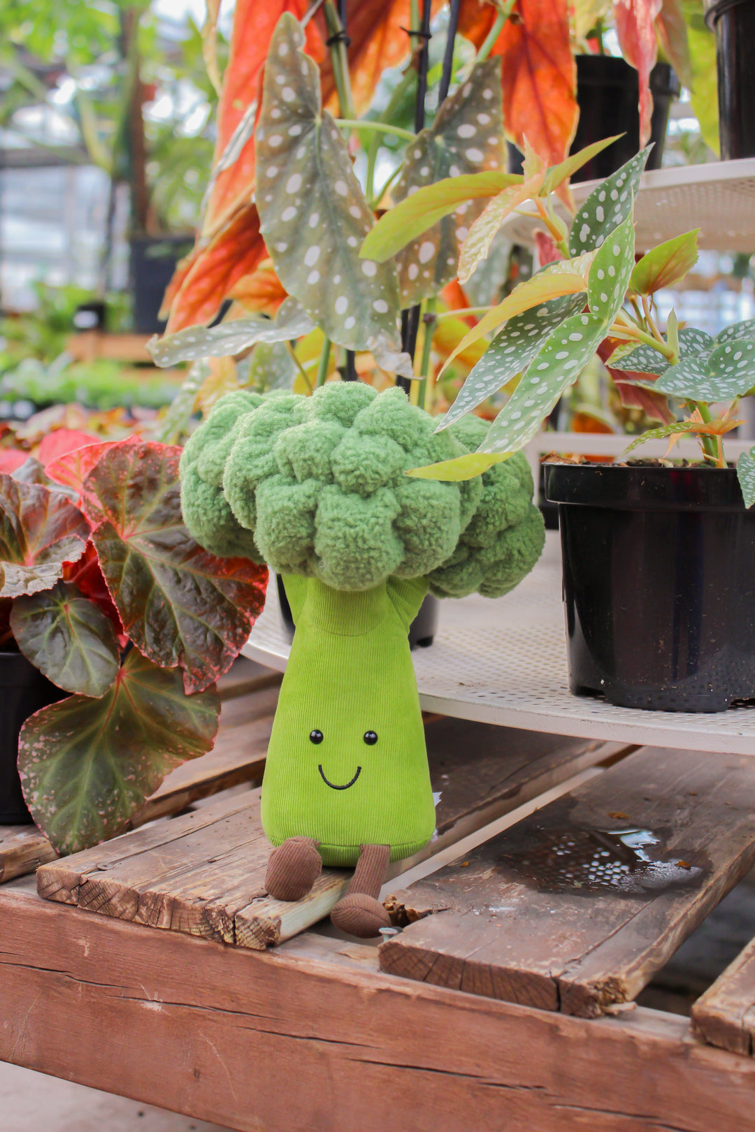 Peluche broccoli nourriture amuseable Jellycat Mlle et Coco