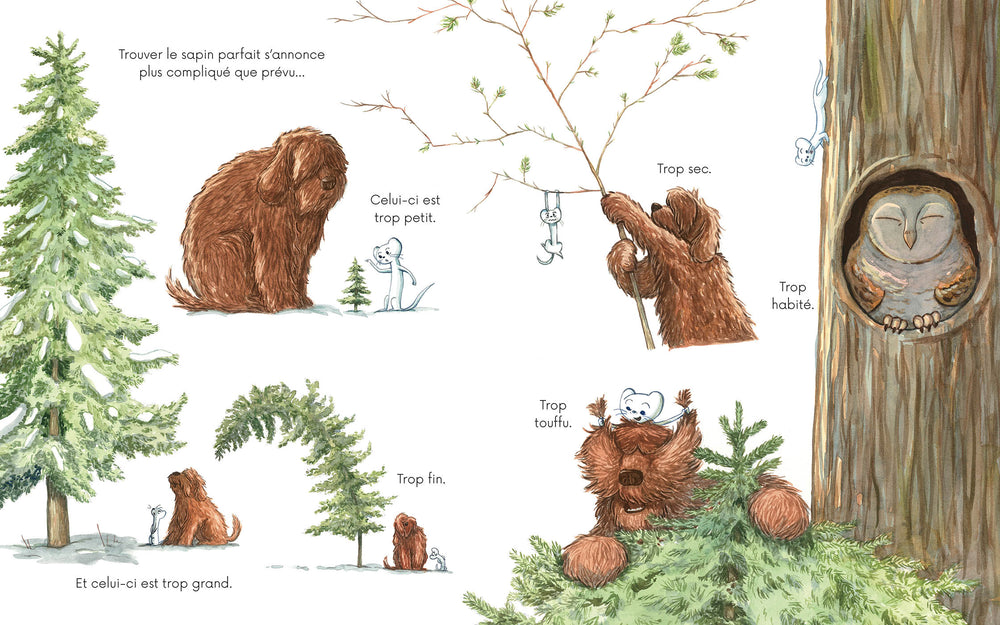 Livre Le Noël de Poil et Plume Auzou Éditions