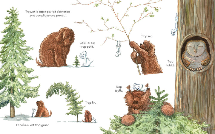 Livre Le Noël de Poil et Plume Auzou Éditions