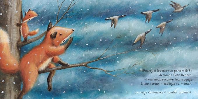 Livre Le premier hiver de Renardeau Kimane Mlle et Coco