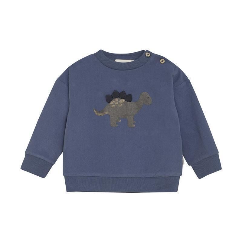 Pull manches longues dinosaure bleu Minymo Mlle et Coco