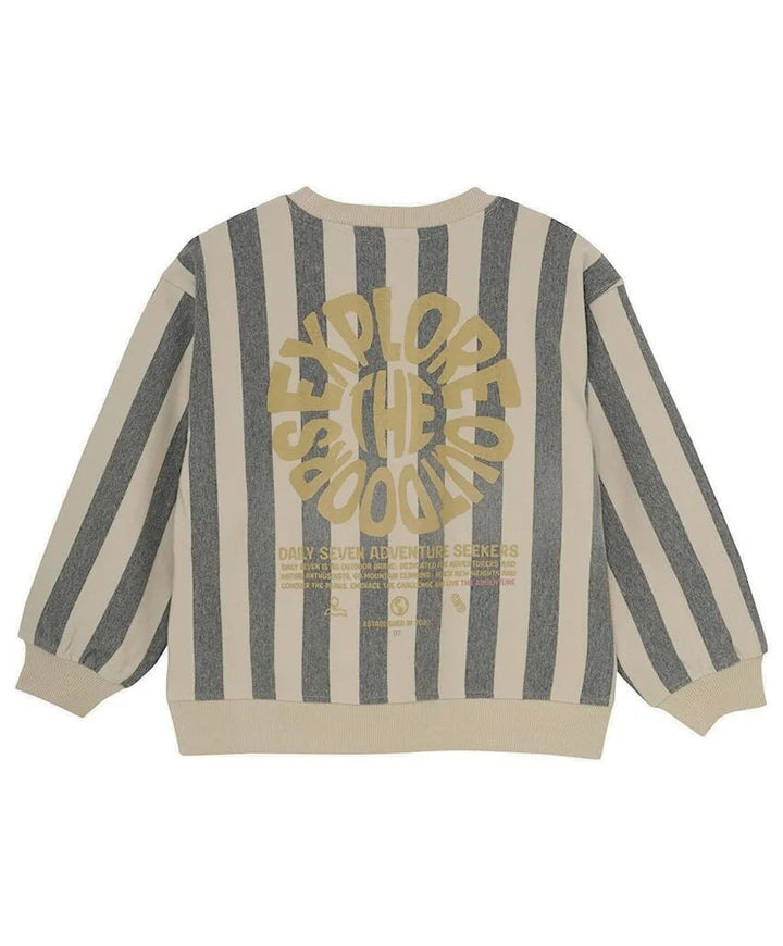 Pull ligné gris et beige Daily Seven Mlle et Coco