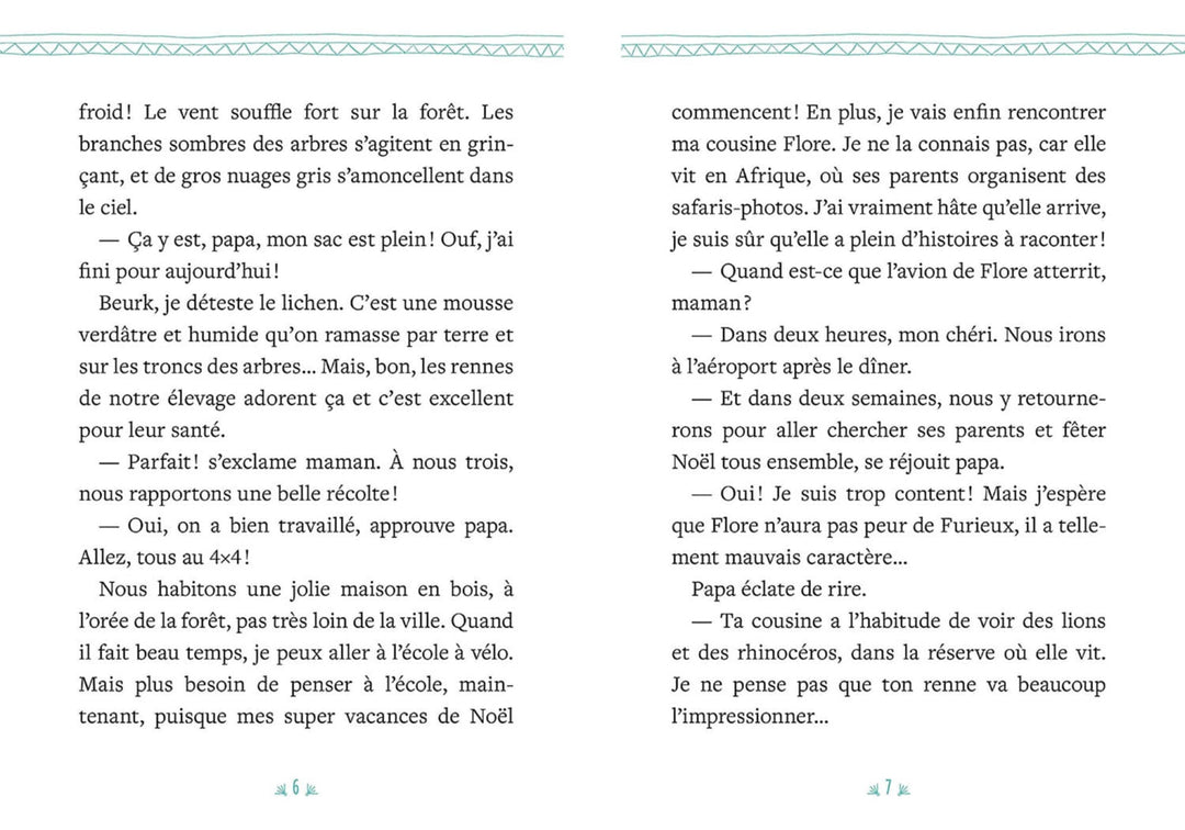Mon roman de l&