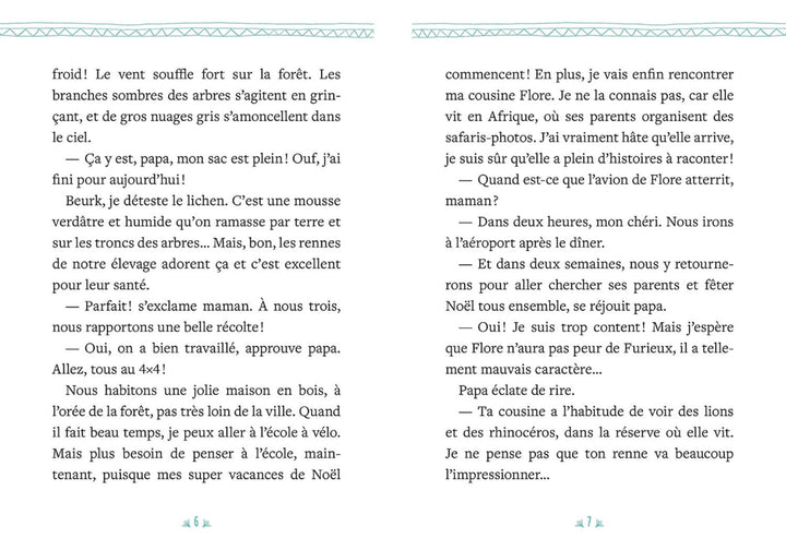 Mon roman de l&