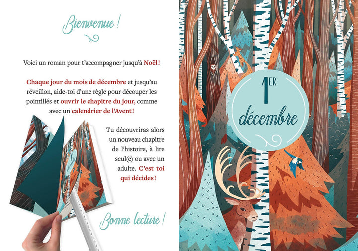 Mon roman de l&