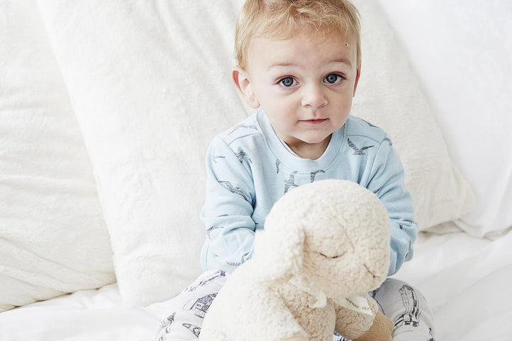 Peluche musicale Mouton pour favoriser le sommeil nuit après nuit de Cloud B