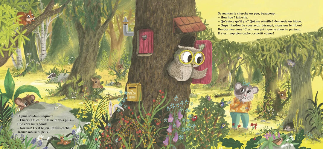 Livre Une surprise pour maman Gründ Québec Mlle et Coco