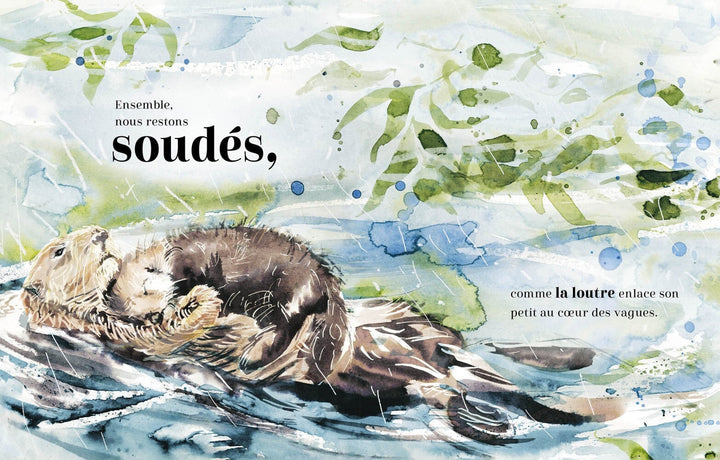 Livre Toujours Ensemble Famille Animaux Auzou Mlle et Coco
