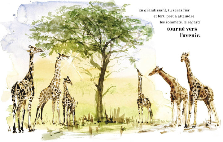 Livre Toujours Ensemble Famille Animaux Auzou Mlle et Coco