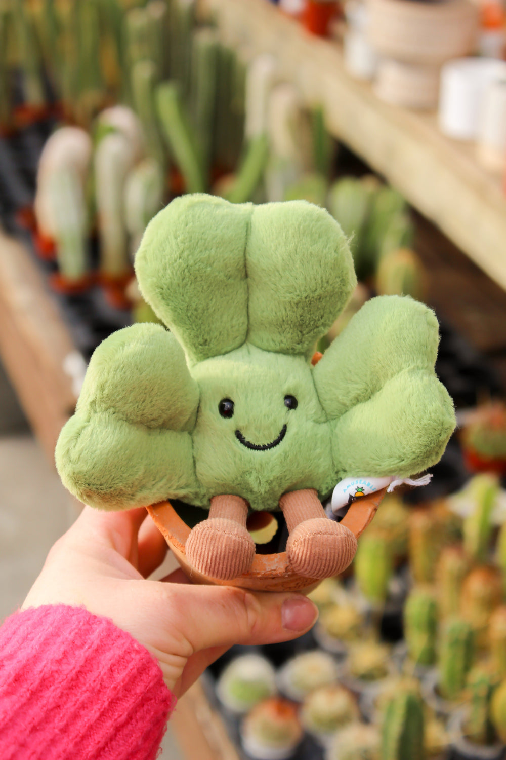 peluche trèfle amuseable jellycat Mlle et Coco toutou jouet