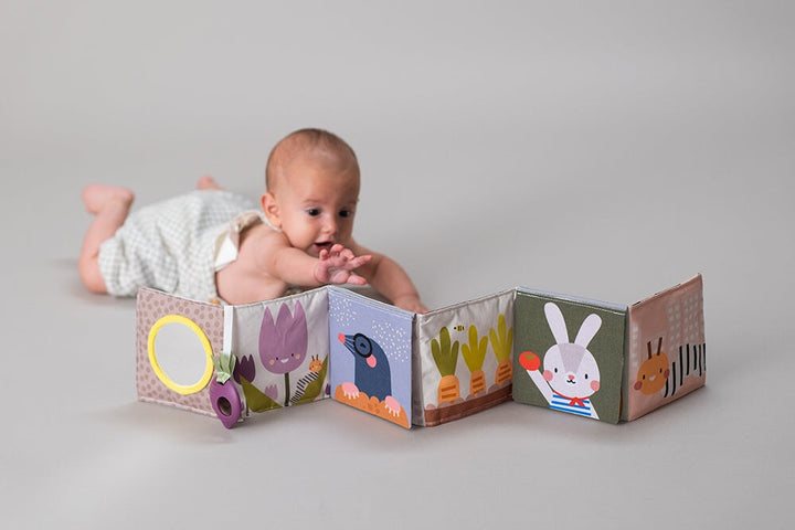 livre cache-cache jardin urbain Taf Toy Mlle et Coco