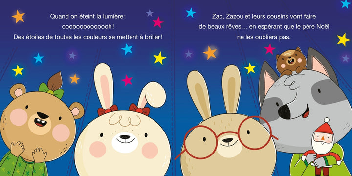 Livre Zac et Zazou un noel en pyjama Auzou Mlle et Coco