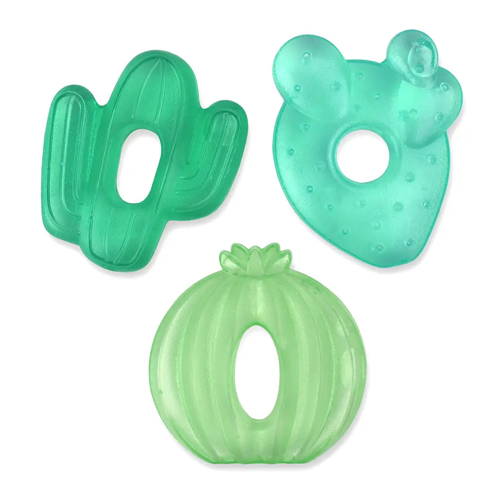 anneau dentition apaisant cactus itzy ritzy