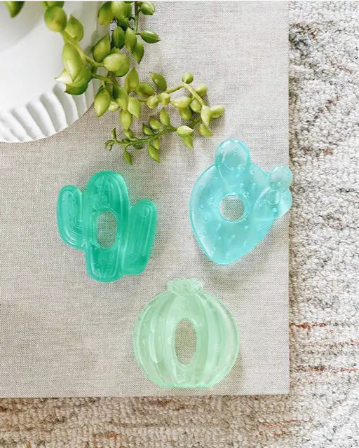 anneau dentition apaisant cactus itzy ritzy