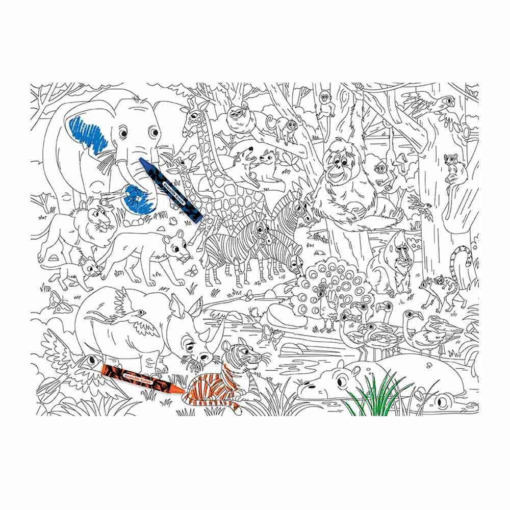 affiche colorier animaux jungle collant crayons bricolage crocodile creek