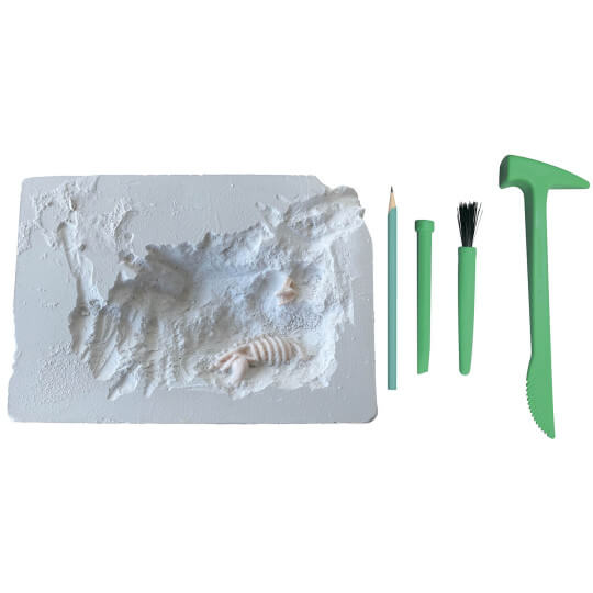 jeu paleontologue auzou enfant 