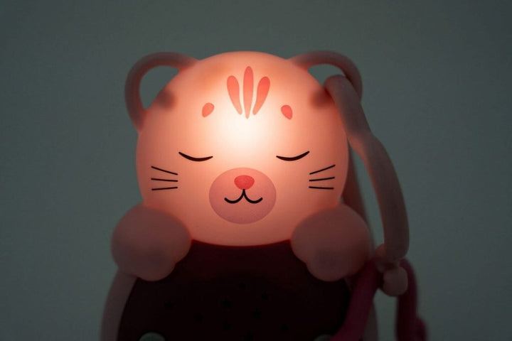 chat musical portatif cloudb jouet transport